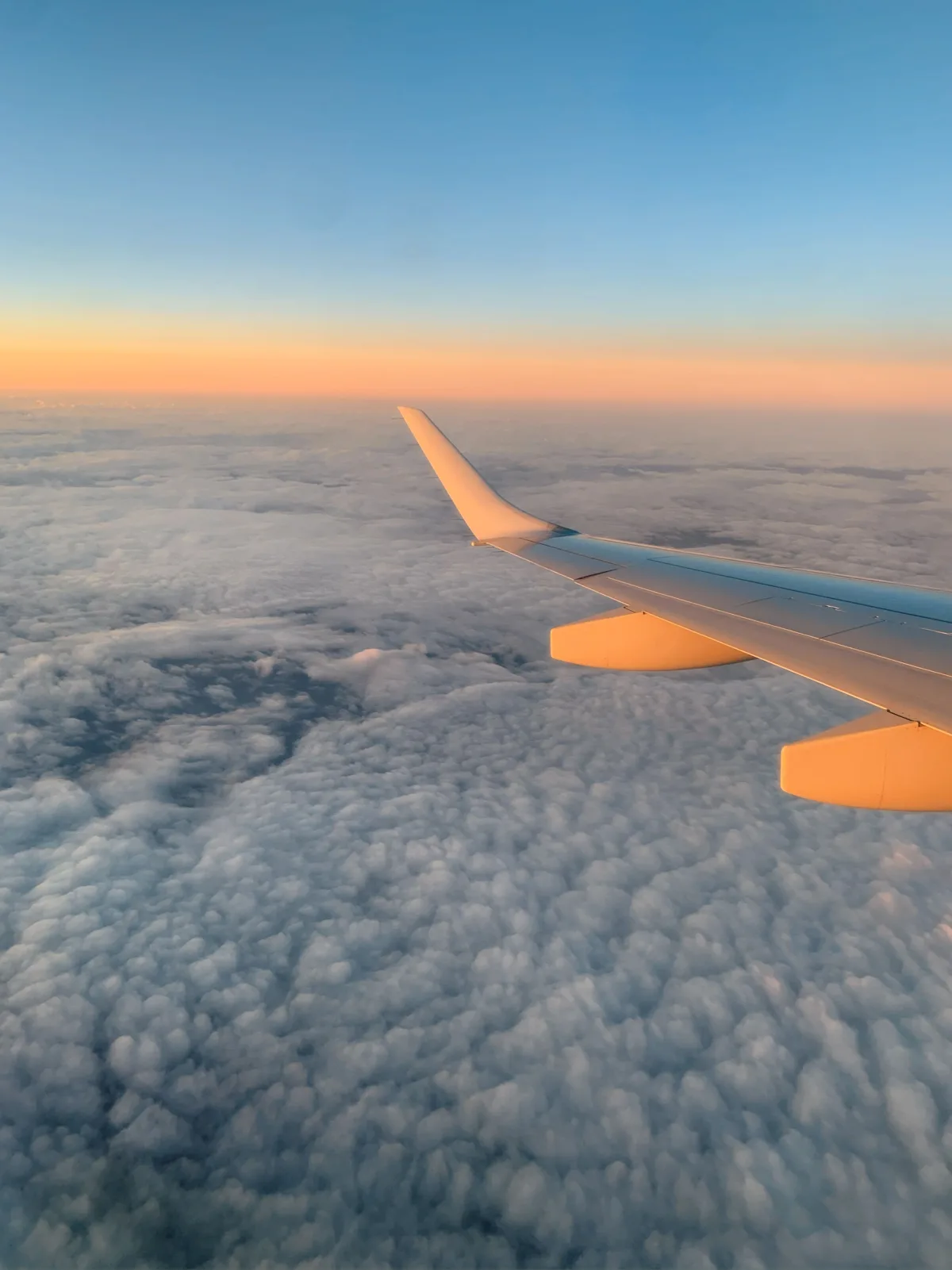 Group airfare coordination