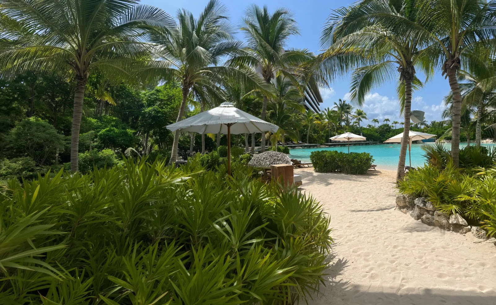 Turquoise Caribbean beach with palm trees at a resort in Quintana Roo, Mexico